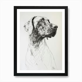 Pointer Dog Black & White Line Sketch 2 Art Print