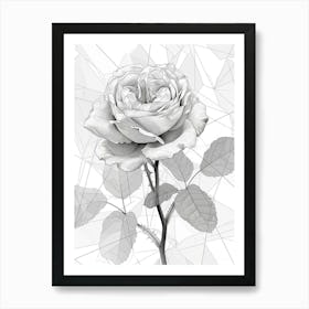 English Roses Painting Rose Geometric 7 Art Print