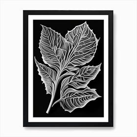 Wild Sarsaparilla Leaf Linocut Art Print