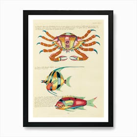 Colourful And Surreal Illustrations Of Fishes And Crab Found In The Indian And Pacific Oceans, Louis Renard (69) Art Print