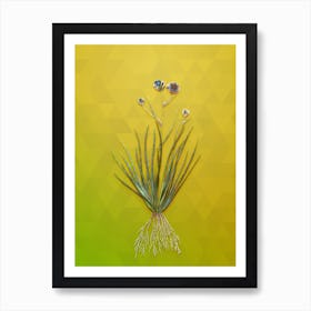 Vintage Blue Corn Lily Botanical Art on Empire Yellow n.0370 Art Print