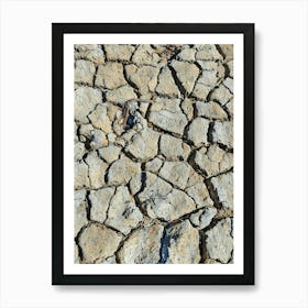 Cracked Earth Texture in Camargue. The image showcases a close-up view of cracked earth, revealing a network of intricate fissures and crevices. The dominant color is a muted gray, with subtle variations in shade and texture. The cracks are deep and pronounced, creating a sense of dryness and aridity. The overall mood is one of desolation and harshness, highlighting the effects of drought or lack of moisture. 1 Art Print