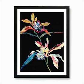 Neon Flowers On Black Monkey Orchid 2 Poster