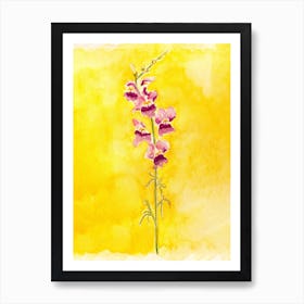 Bleeding Hearts Flower Painting Art Print