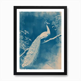Peacock In The Tree Cyanotype Inspired 2 Art Print