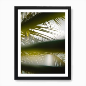 Palm trees and sunshine Art Print