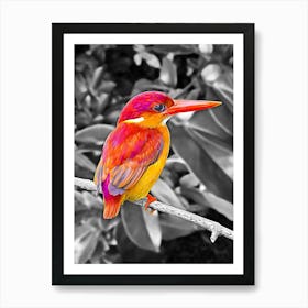 Kingfisher Art Print