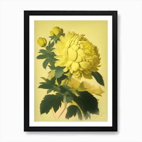 Monsieur Jules Elie Peonies Yellow 1 Vintage Sketch Art Print