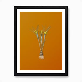 Vintage Cloth-of-Gold Crocus Botanical on Sunset Orange n.0734 Art Print