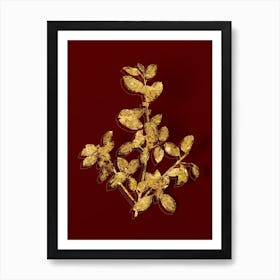 Vintage Italian Buckthorn Botanical in Gold on Red n.0369 Art Print