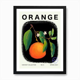 Orange Fruit Kitchen Typography Art Print