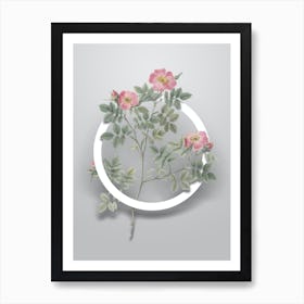 Vintage Rose Corymb Minimalist Botanical Geometric Circle on Soft Gray Art Print