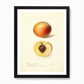 Peaches 2 Art Print