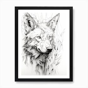 Red Wolf Line Drawing 3 Art Print