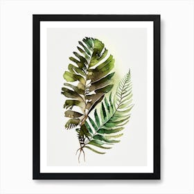 Wood Fern Watercolour Art Print