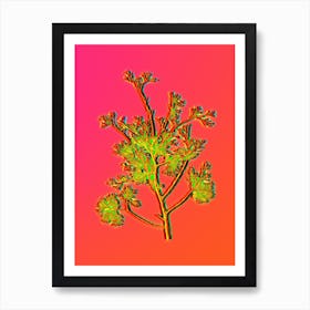 Neon Atlantic White Cypress Botanical in Hot Pink and Electric Blue n.0411 Art Print