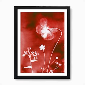 Red Poppies Art Print