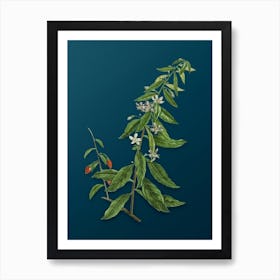 Vintage Goji Berry Tree Botanical Art on Teal Blue n.0465 Art Print