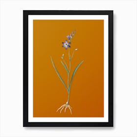Vintage Ixia Secunda Botanical on Sunset Orange n.0769 Art Print