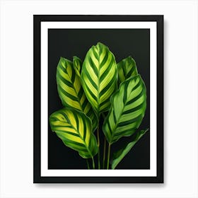 Green Leaves On Black Background Art Print