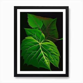 Snakeroot Leaf Vibrant Inspired 3 Art Print