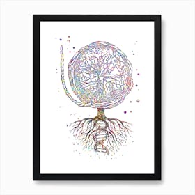 Placenta With The Roots Of DNA Watercolor Tree OF Life Art Print