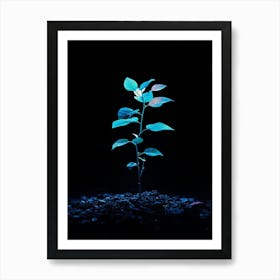 Small Plant In The Dark 2 Art Print