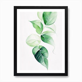 Wintergreen Leaf Minimalist Watercolour 4 Art Print