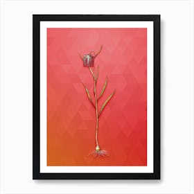 Vintage Chess Flower Botanical Art on Fiery Red n.1053 Art Print