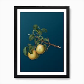 Vintage Pear Botanical Art on Teal Blue n.0925 Art Print