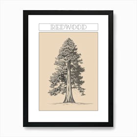 Redwood Tree Minimalistic Drawing 3 Poster Art Print