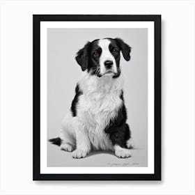 Welsh Springer Spaniel B&W Pencil Dog Art Print