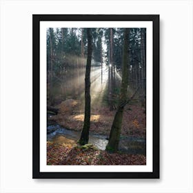 Sunbeams in the winter forest 2 Art Print