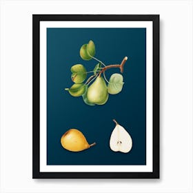 Vintage Pear Botanical Art on Teal Blue n.0426 Art Print
