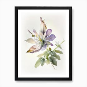 Columbine Wildflower Watercolour Art Print