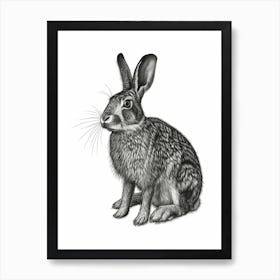 Californian Black Blockprint Rabbit Illustration 2 Art Print