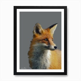 Wily Fox Art Print