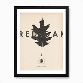 Red Oak Art Print