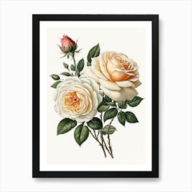 Vintage Galleria Style Rose Art Painting 27 Art Print