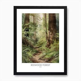 Redwood Forest 3 Watercolour Travel Poster Art Print