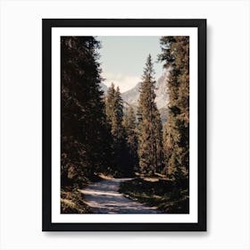 Analog Forest Art Print