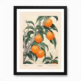 Tachibana Mandarin Orange 1 Vintage Japanese Botanical Poster Art Print