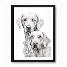 Two Pointer Dogs, Line Drawing 2 Art Print