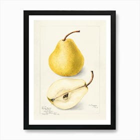 Pears 10 Art Print