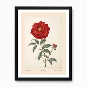 Higanatsu Red Camellia 2 Vintage Japanese Botanical Poster Art Print
