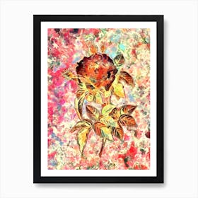 Impressionist Pink French Rose Botanical Painting in Blush Pink and Gold Art Print