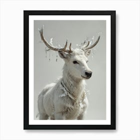 Reindeer Art Print