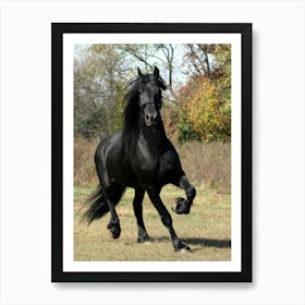 Black Horse Galloping Art Print