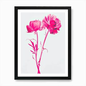 Hot Pink Everlasting Flower 1 Art Print