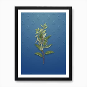 Vintage Evergreen Oak Botanical on Bahama Blue Pattern Art Print